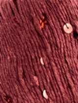 İri Pullu Pamuk İp